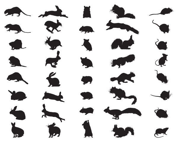 Graphic of different rodent outlines